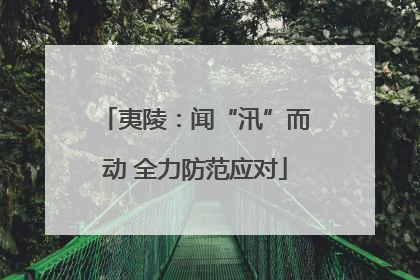 夷陵：闻“汛”而动 全力防范应对