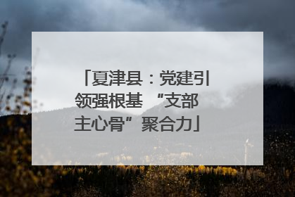夏津县：党建引领强根基 “支部主心骨”聚合力