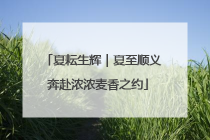 夏耘生辉｜夏至顺义奔赴浓浓麦香之约