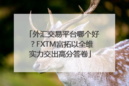 外汇交易平台哪个好？FXTM富拓以全维实力交出高分答卷