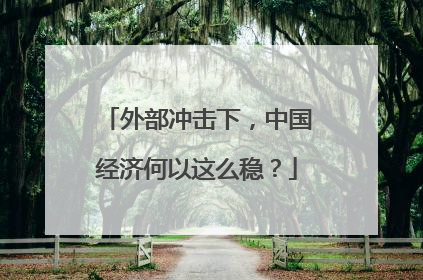 外部冲击下，中国经济何以这么稳？