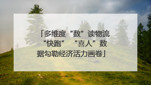 多维度“数”读物流“快跑” “喜人”数据勾勒经济活力画卷
