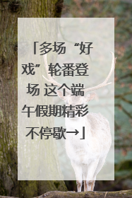 多场“好戏”轮番登场 这个端午假期精彩不停歇→