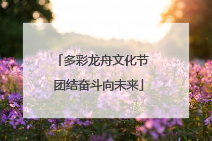 多彩龙舟文化节 团结奋斗向未来