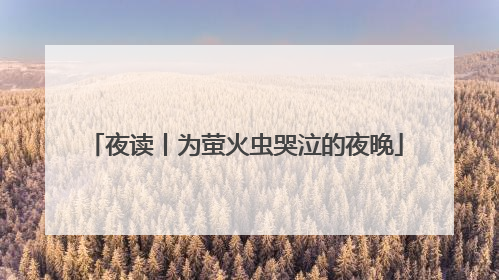 夜读丨为萤火虫哭泣的夜晚