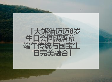 大熊猫迈迈8岁生日会圆满落幕 端午传统与国宝生日完美融合