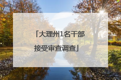 大理州1名干部接受审查调查