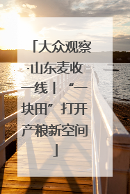 大众观察·山东麦收一线丨“一块田”打开产粮新空间