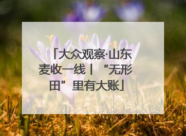 大众观察·山东麦收一线丨“无形田”里有大账