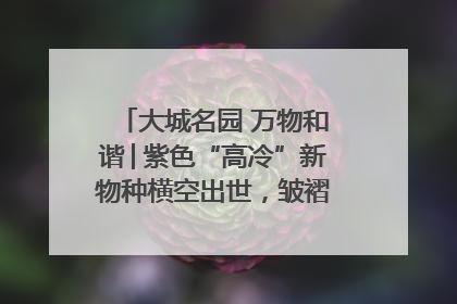大城名园 万物和谐│紫色“高冷”新物种横空出世，皱褶叶片暗藏进化密码