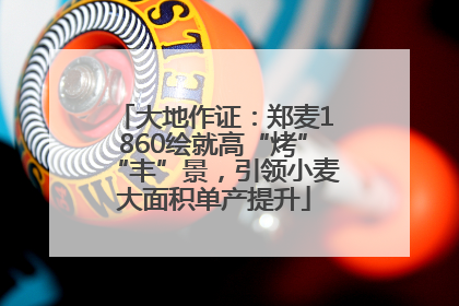 大地作证：郑麦1860绘就高“烤”“丰”景，引领小麦大面积单产提升