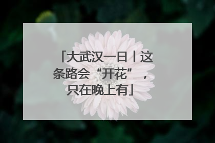 大武汉一日丨这条路会“开花”，只在晚上有