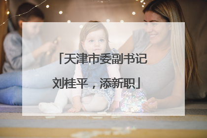 天津市委副书记刘桂平，添新职