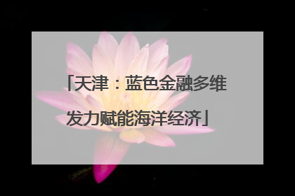 天津：蓝色金融多维发力赋能海洋经济