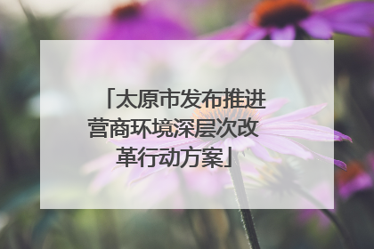 太原市发布推进营商环境深层次改革行动方案
