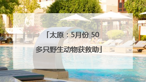 太原：5月份 50多只野生动物获救助