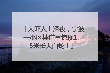 太吓人！深夜，宁波一小区楼道里惊现1.5米长大白蛇！