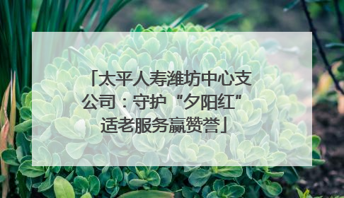 太平人寿潍坊中心支公司：守护“夕阳红” 适老服务赢赞誉