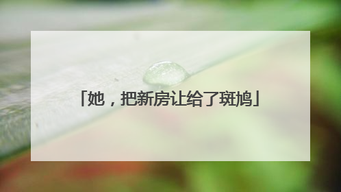 她，把新房让给了斑鸠