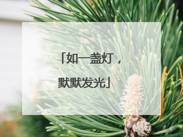 如一盏灯，默默发光