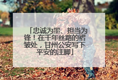 忠诚为墨、担当为锋！在千年丝路的褶皱处，甘州公安写下平安的注脚