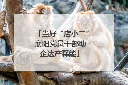 当好“店小二” 襄阳党员干部助企达产释能