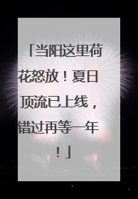 当阳这里荷花怒放！夏日顶流已上线，错过再等一年！