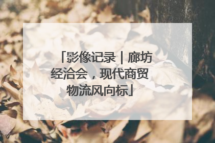影像记录｜廊坊经洽会，现代商贸物流风向标
