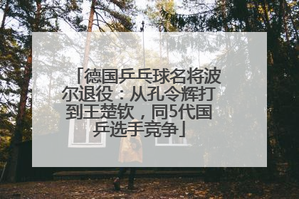 德国乒乓球名将波尔退役：从孔令辉打到王楚钦，同5代国乒选手竞争