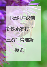 德阳广汉创新探索农村“三资”管理新模式