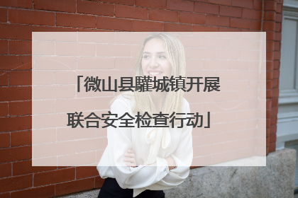 微山县驩城镇开展联合安全检查行动