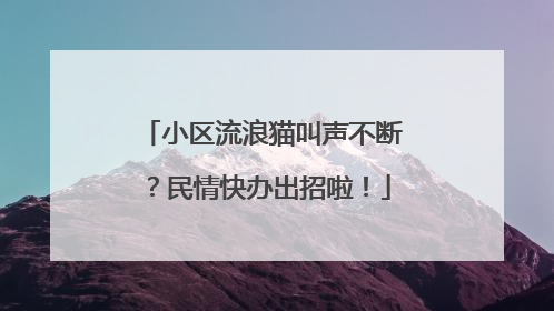 小区流浪猫叫声不断？民情快办出招啦！