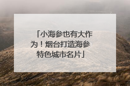 小海参也有大作为！烟台打造海参特色城市名片