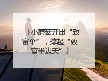 小蘑菇开出“致富伞”，撑起“致富半边天”