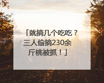 就摘几个吃吃？三人偷摘230余斤桃被抓！