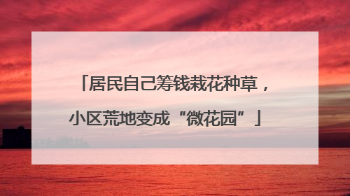 居民自己筹钱栽花种草，小区荒地变成“微花园”