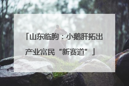 山东临朐：小鹅肝拓出产业富民“新赛道”