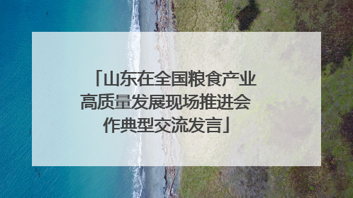 山东在全国粮食产业高质量发展现场推进会作典型交流发言