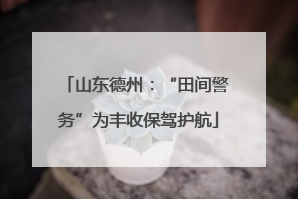 山东德州：“田间警务”为丰收保驾护航