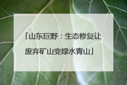 山东巨野：生态修复让废弃矿山变绿水青山