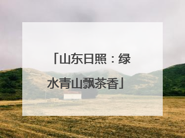 山东日照：绿水青山飘茶香