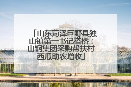 山东菏泽巨野县独山镇第一书记搭桥：山钢集团采购帮扶村西瓜助农增收