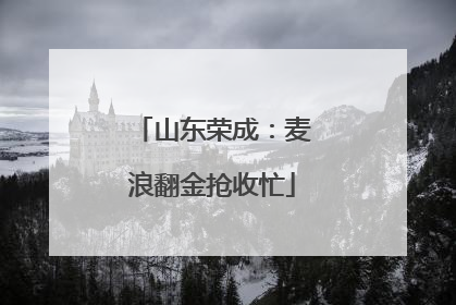 山东荣成：麦浪翻金抢收忙