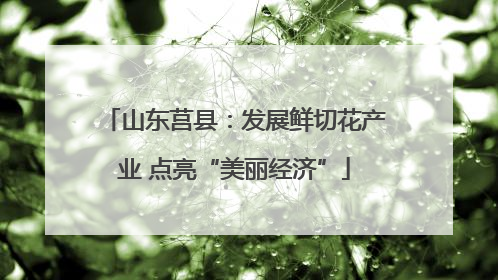 山东莒县：发展鲜切花产业 点亮“美丽经济”