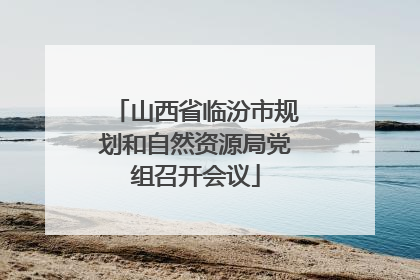 山西省临汾市规划和自然资源局党组召开会议