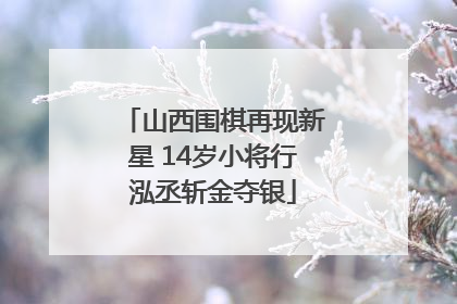山西围棋再现新星 14岁小将行泓丞斩金夺银