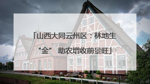 山西大同云州区：林地生“金” 助农增收前景旺