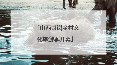 山西岢岚乡村文化旅游季开幕