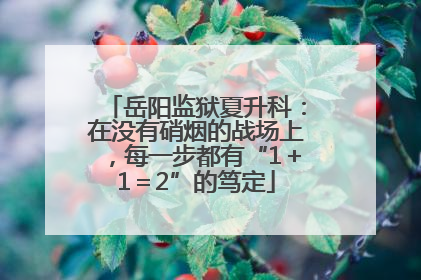岳阳监狱夏升科：在没有硝烟的战场上，每一步都有“1＋1＝2”的笃定