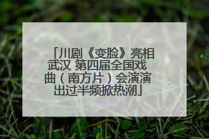 川剧《变脸》亮相武汉 第四届全国戏曲（南方片）会演演出过半频掀热潮